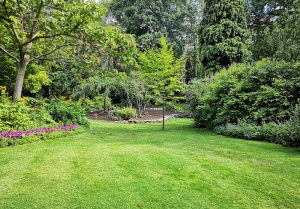 Optimiser l'expérience du jardin à Domevre-sous-Montfort